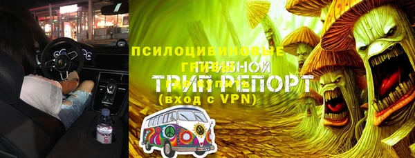 ГАЛЛЮЦИНОГЕННЫЕ ГРИБЫ Балабаново