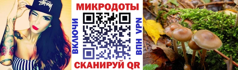 магазин  наркотиков  Новокузнецк  Галлюциногенные грибы Cubensis 